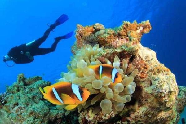Десять лучших мест в мире для подводного плавания