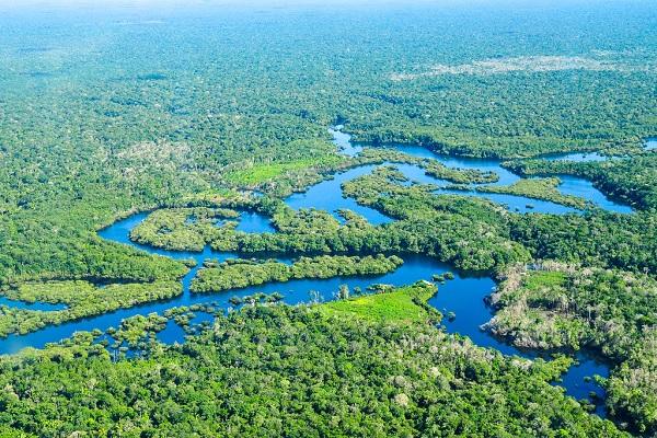 Десять малоизвестных фактов об Амазонке