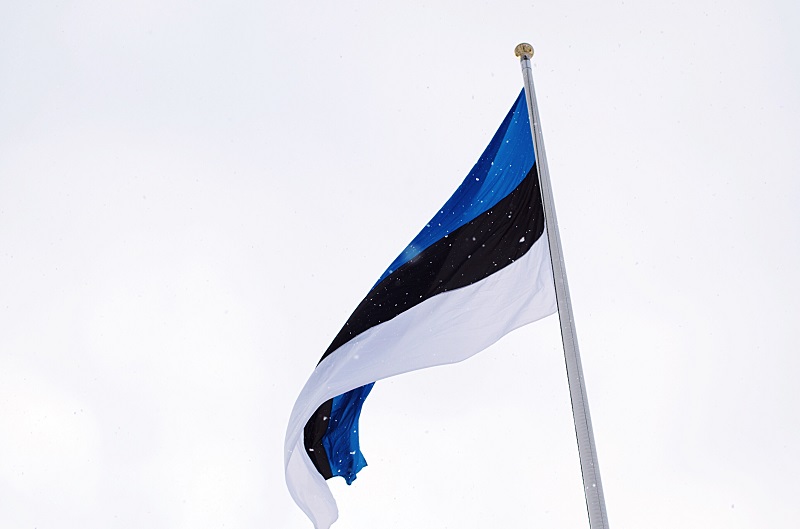эстонский флаг развевается в снегопад