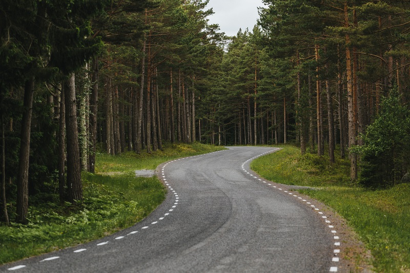 извилистая-лесная-дорога-в-эстонии