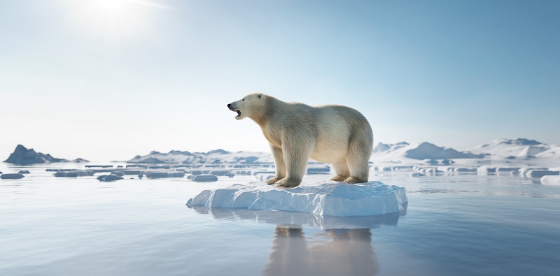 Белый медведь на льдине. Тающий айсберг и глобальное потепление.
