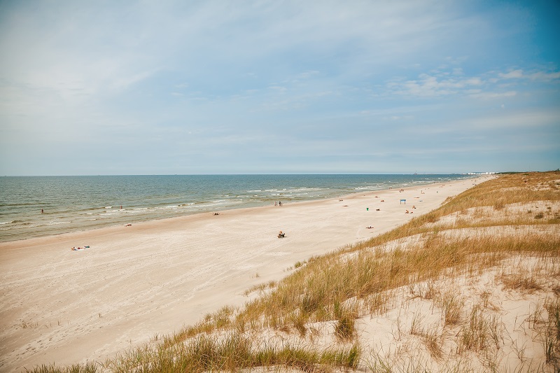 Litvanya'daki Baltık Denizi kıyısındaki plajın güzel manzarası