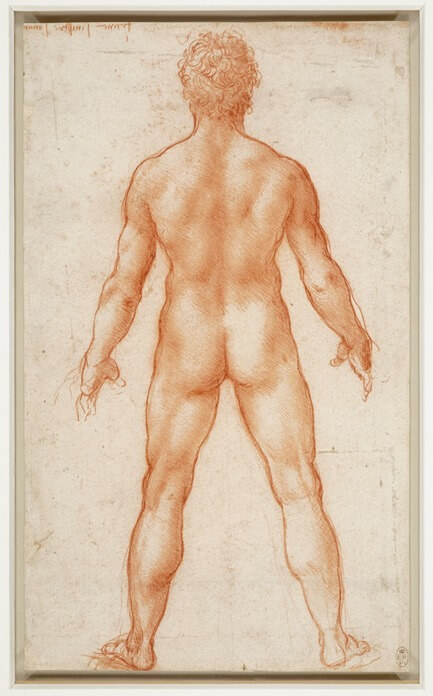 Леонардо да Винчи, «Стоящий обнаженный мужчина»