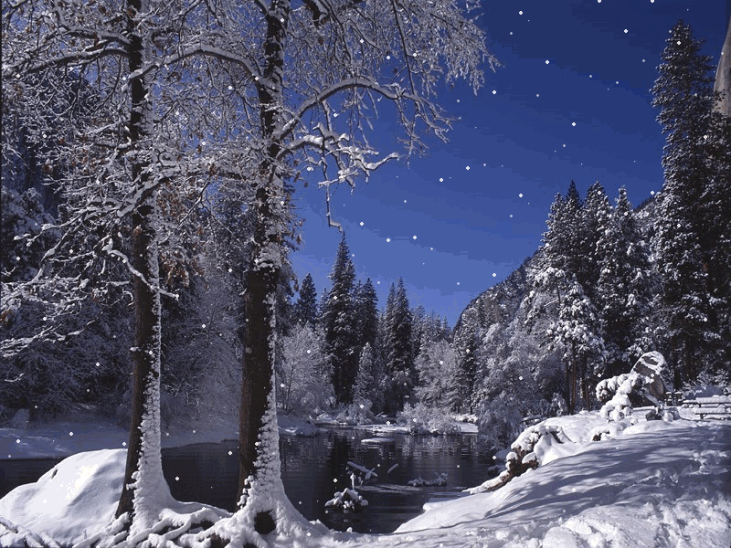 Animasi dengan pemandangan musim dingin