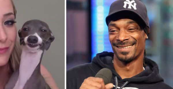 Snoop Dogg a Kermit jsou jedny z nejběžnějších podobných celebrit.