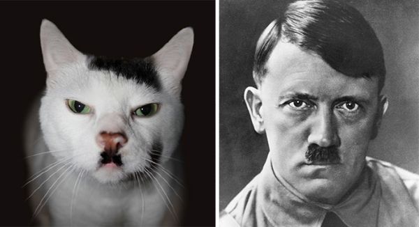 Podobnosti celebrit, o kterých jsme nikdy nepřemýšleli: Hitler