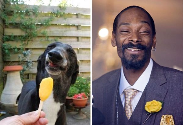 Podobní celebrity se znovu setkávají se Snoop Doggem
