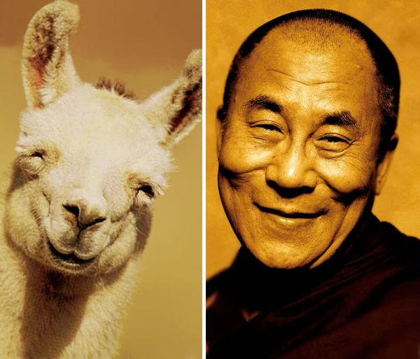 Dalaï Lama - sosies de célébrités