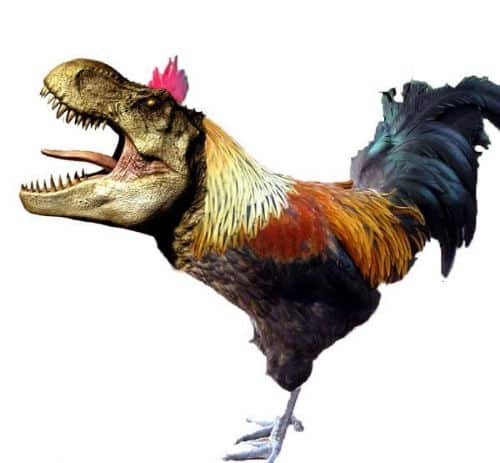 Предки птиц — удивительные факты о динозаврах