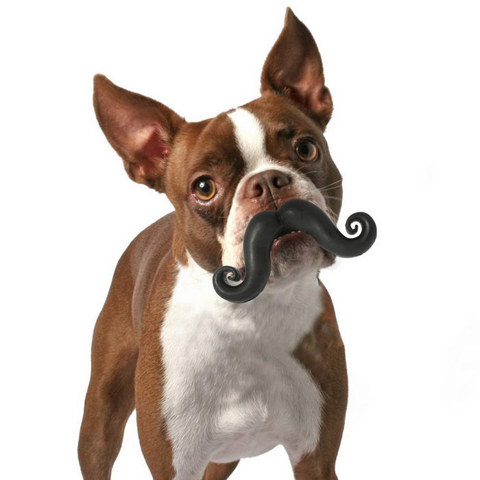 Humunga Stache прочная игрушка для собак