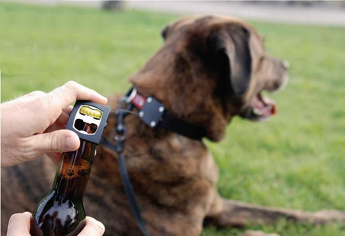 Аксессуары для собак Ошейник для собак Bark4Beer