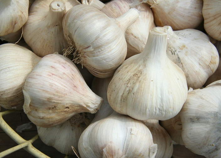 Чеснок Garlic