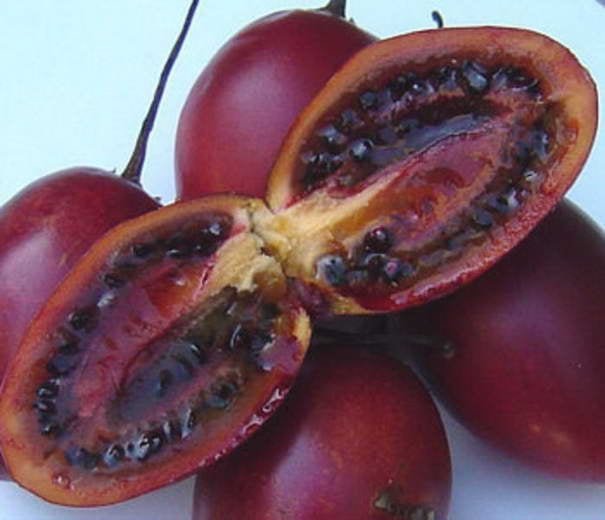 Тамарилло Tamarillo - Strangest Fruits