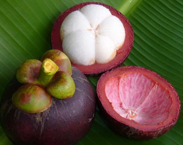 Мангостин Mangosteen - Strangest Fruits
