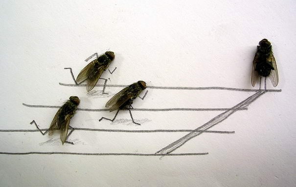 Спринт Sprint