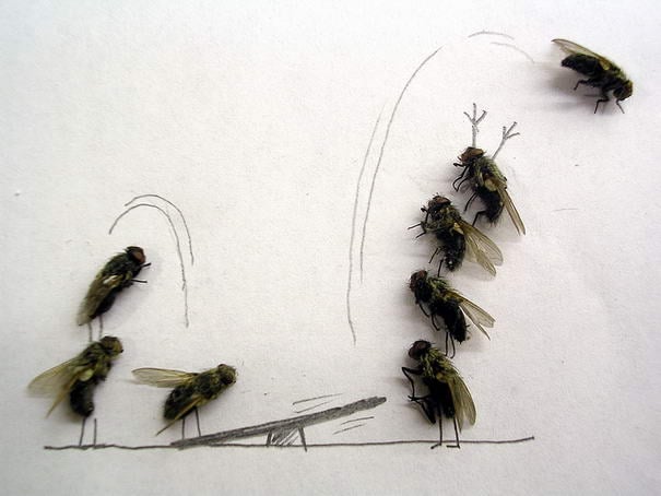 Уииииииииии Weeeiiiiiee - Dead Flies