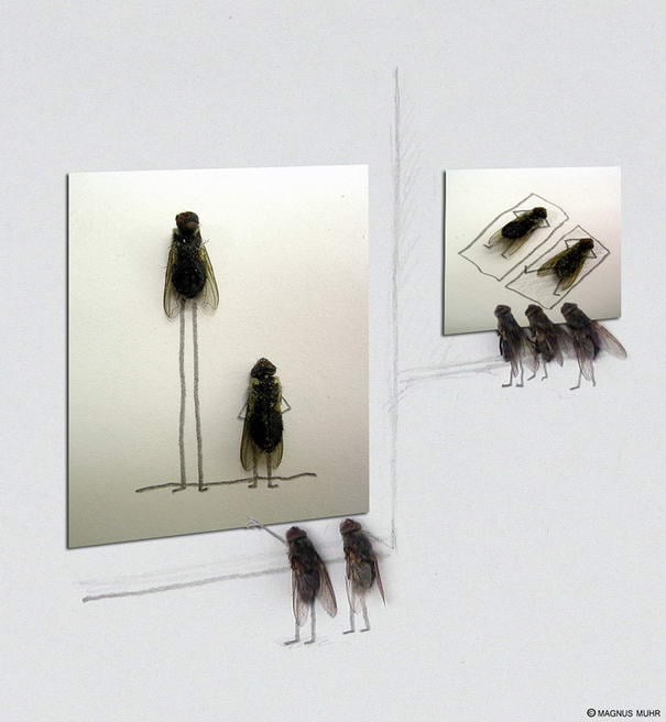 Художественная Галерея Art Gallery
