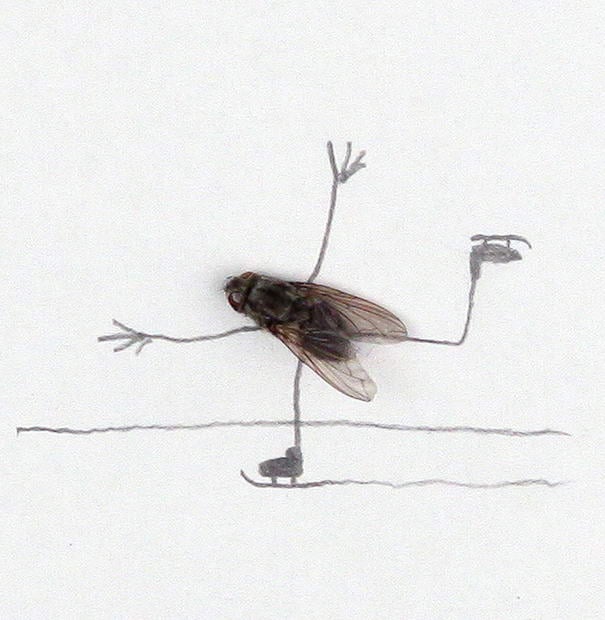 Катание на коньках Skating - Dead Flies