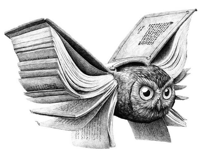 Сова