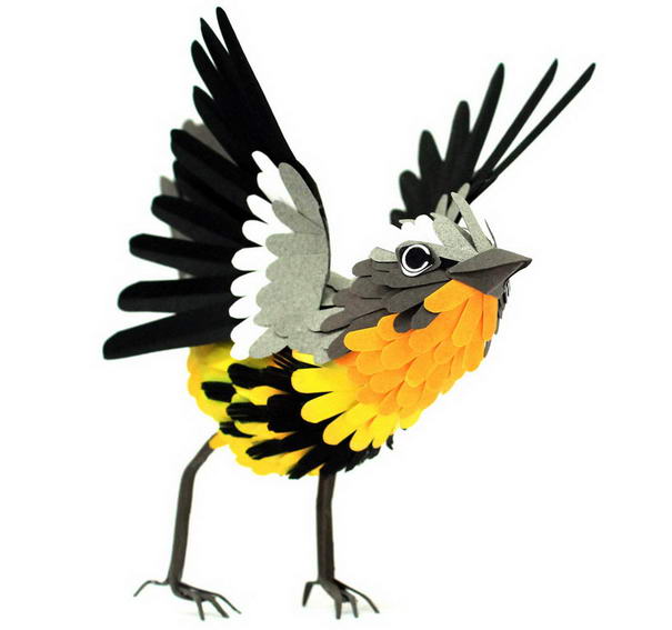 Магнолия Певчая птица Magnolia Warbler