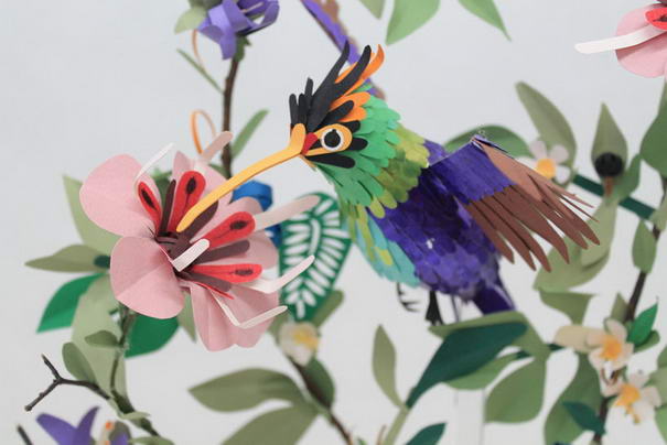Колибри Hummingbird
