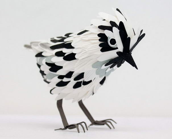 Черно-белая певунья Black and White Warbler