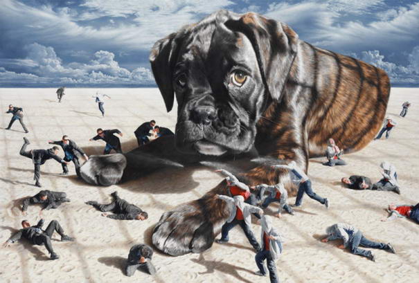 Джоэл Ри (2) Joel Rea (2)