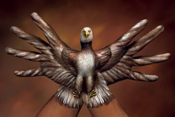 Белоголовый орлан 2 руки Bald Eagle 2 - Hand Paintings