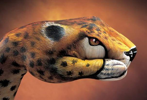 Гепард Cheetah