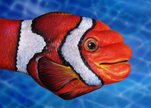 Рыба-клоун Clown Fish