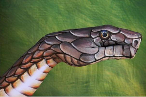 Кобра на зеленом Cobra on green - Hand Paintings
