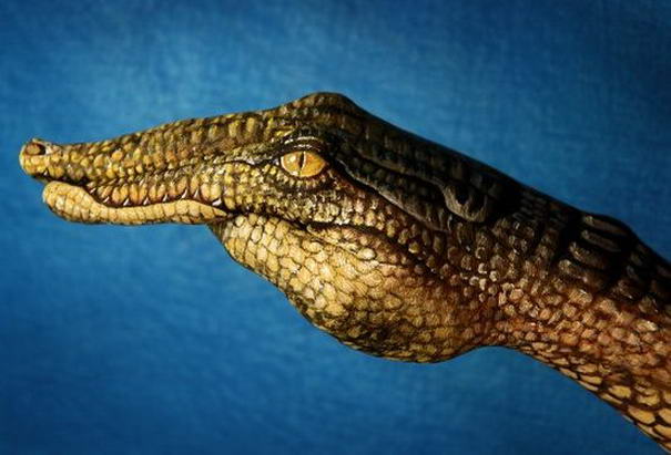 Крокодил Crocodile