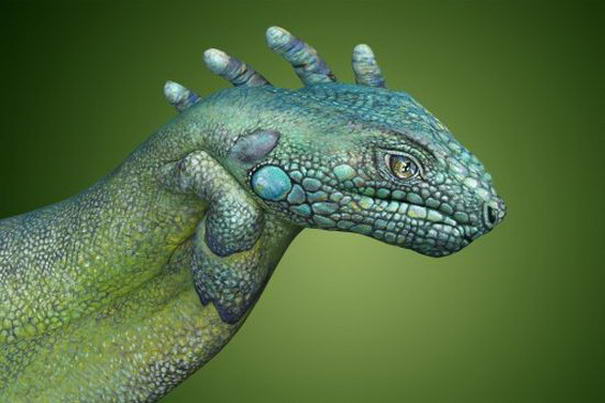 Игуана Iguana